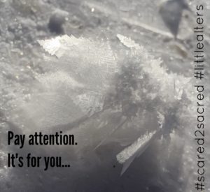 payattention-snow